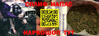стаф Бузулук