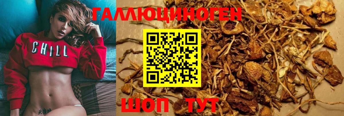 Галлюциногенные грибы мицелий Кыштым