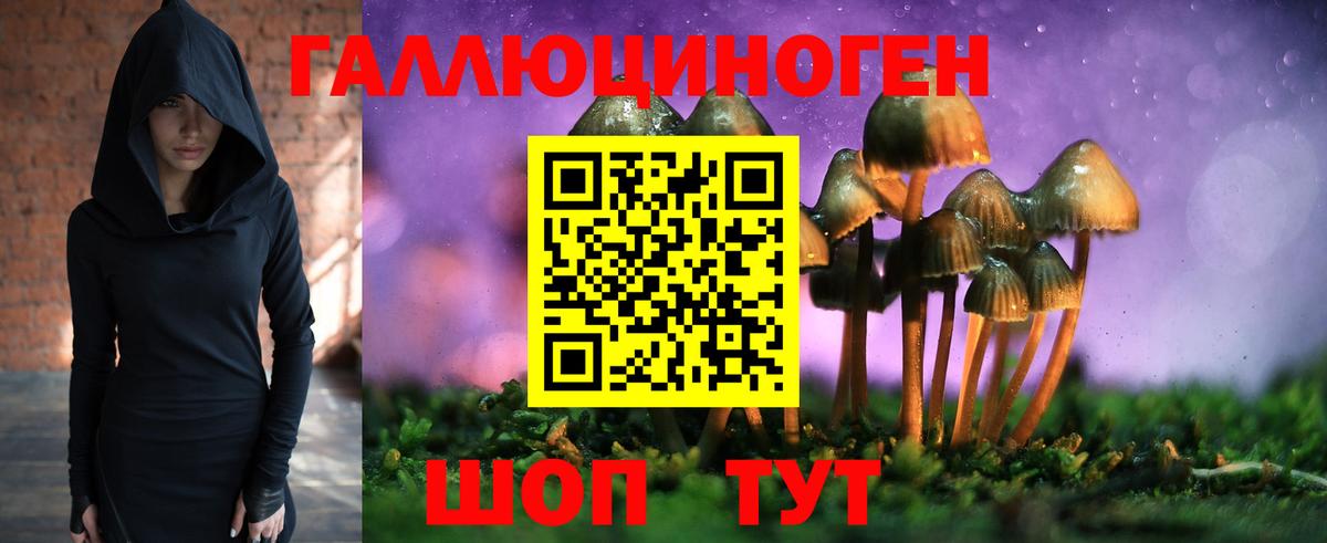 Псилоцибиновые грибы MAGIC MUSHROOMS  Вход с VPN  Кыштым 